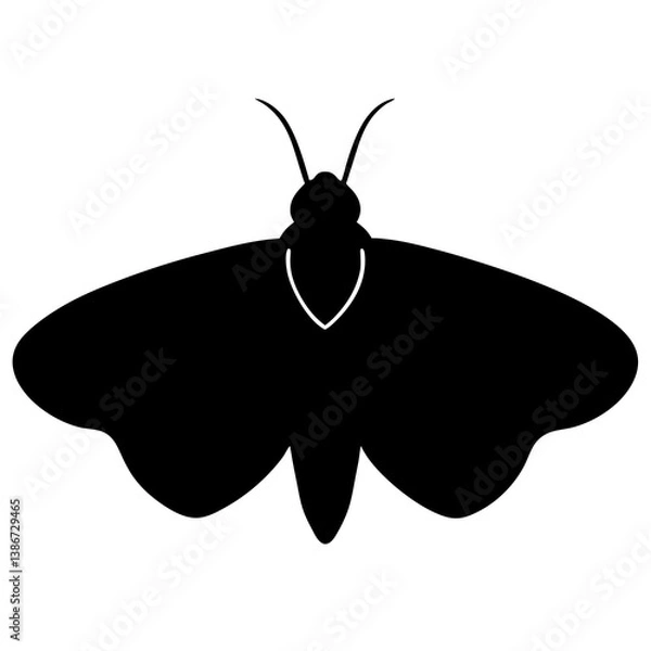 Obraz butterfly vector icon