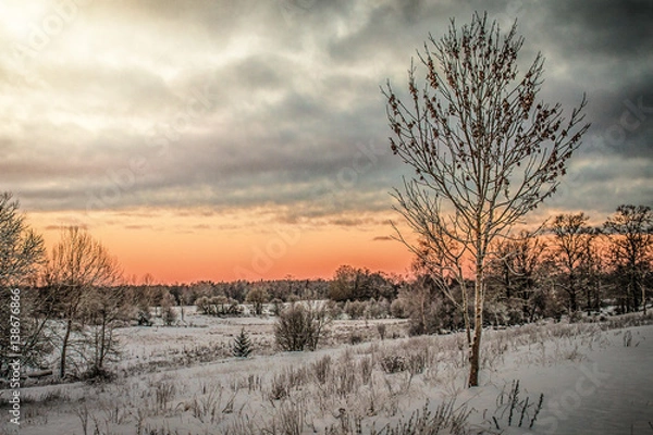 Obraz Winter Morning