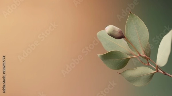 Fototapeta Closeup shot of a single stem of eucalyptus branch with leaves and bud against brown-green backdrop