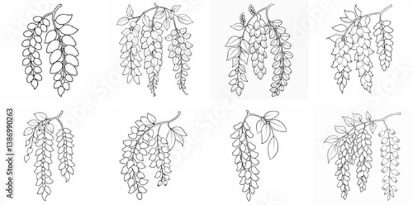 Obraz Elegant Wisteria Blooms – Outline Coloring Book Line Art Set