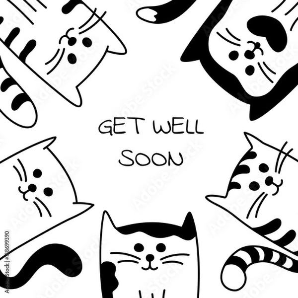 Obraz Background with black and white cat