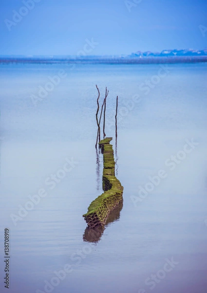 Obraz Parc à huîtres