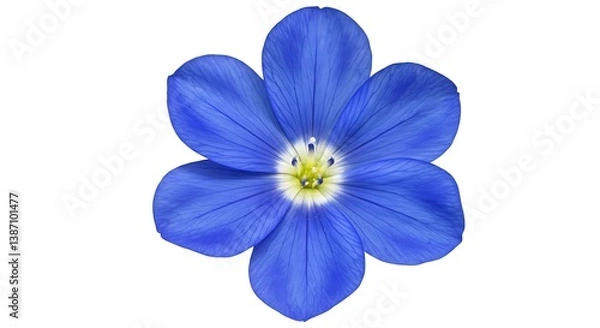 Fototapeta Azure Bloom: Hyperrealistic Flower Study AI Generated
