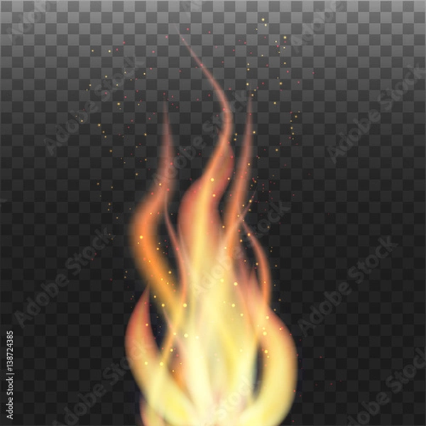 Obraz Flame with particles on transparent background