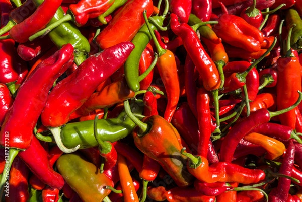 Fototapeta Red jalapeño chilli peppers for sale at an outdoor market. At Avondale Sunday Market in Auckland. New Zealand's longest-running market.