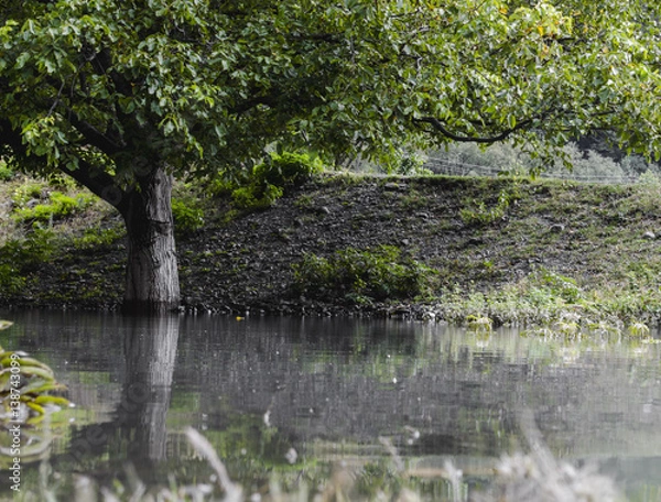 Fototapeta Summer landscape of reflected trees in a perfectly still water of lake with dramatic Latrigg mountain backdrop in Azerbaijan. Caucasus Gakh
