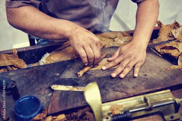 Obraz Closeup of hands making cigar from tobacco leaves. Traditional manufacture of cigars. Dominican Republic