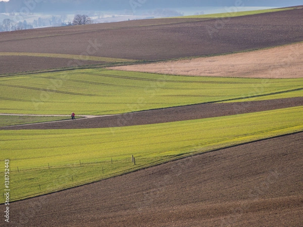 Obraz Ackerbau im Winter