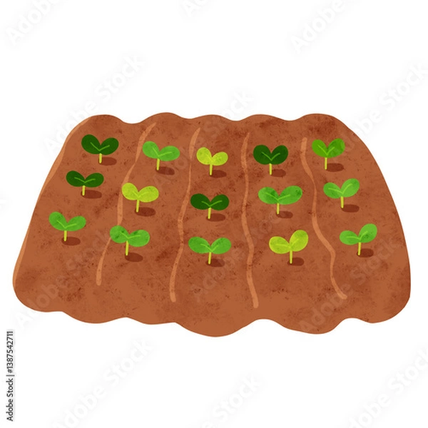 Fototapeta 畑から生える双葉　水彩風手描きイラスト