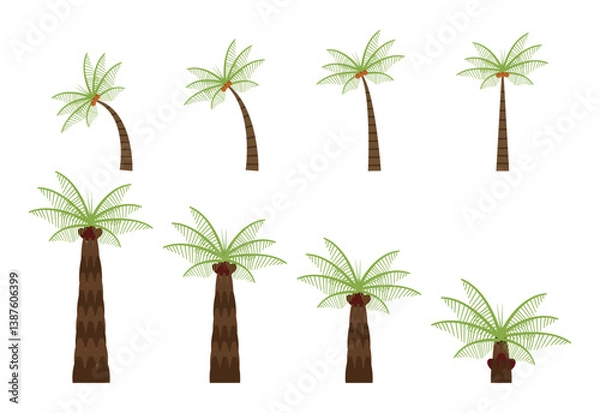 Fototapeta Detailed Palm Oil Tree and Coconut Tree Illustration set in Flat Style