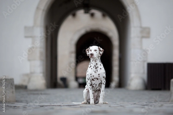 Obraz guarding the entrance