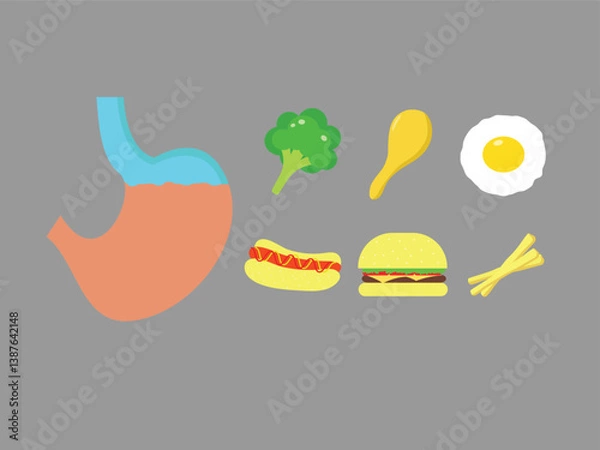 Fototapeta  cartoonish representation of the human body with a stomach and a bunch of food items surrounding it. The food items include a hot dog, a hamburger, an egg, broccoli, and chicken