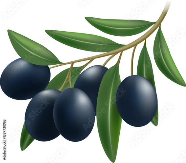 Obraz Realistic black olive branch