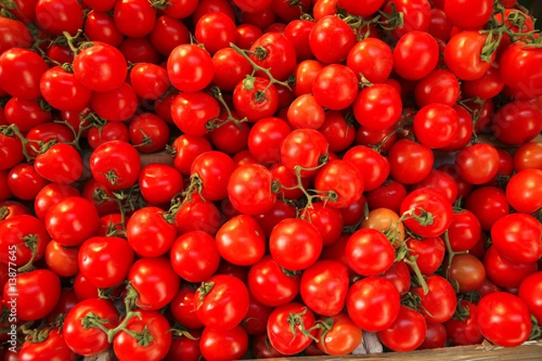 Obraz raw tomato heap