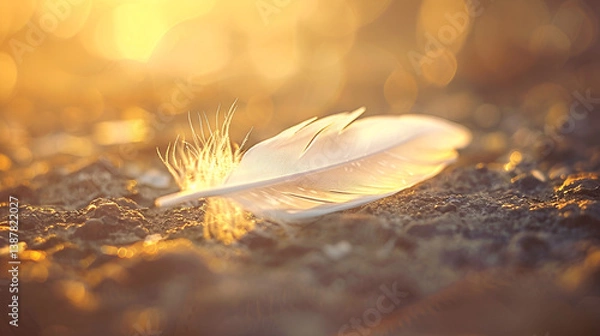 Fototapeta Bird Feather Main Focus and the Feather of a Bird