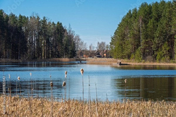 Obraz A narrow wooden boardwalk winds along the lakeshore through leafless birch trees, leading to a quiet bench with a view of the calm water and forest beyond.
