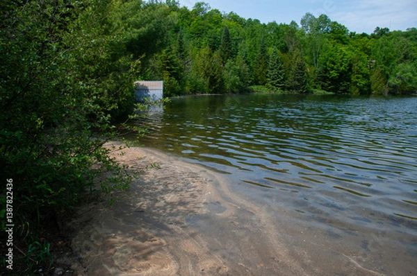 Obraz A partially submerged corrugated metal culvert near the edge of a forested lake. Capturing a rustic yet harmonious interaction of industrial with nature.
