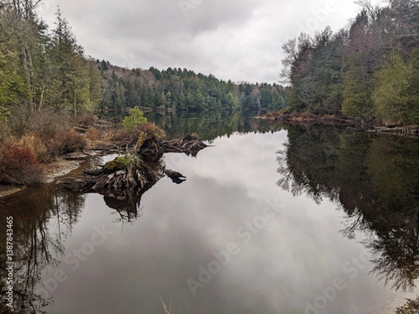 Fototapeta A tranquil forest river scene showcasing still water with mirrored spring reflections under a calm, cloudy sky.