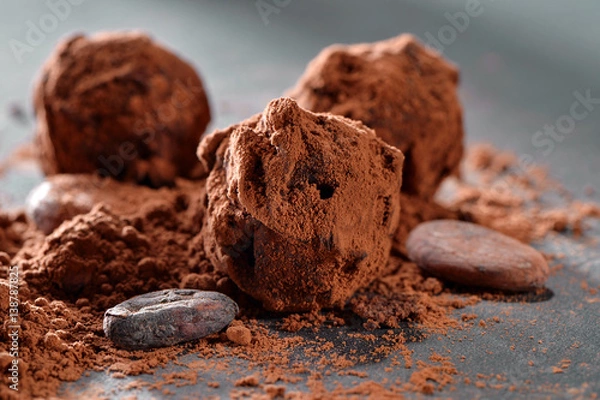 Fototapeta cocoa bean with truffle chocolate candy and powder close-up on black slate plate 
