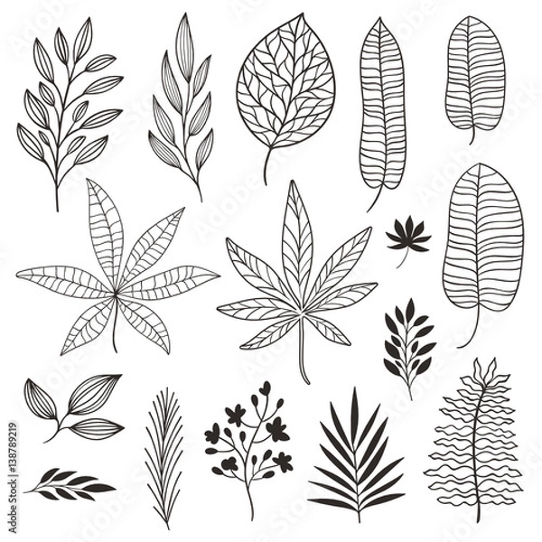 Obraz set tropical leaves