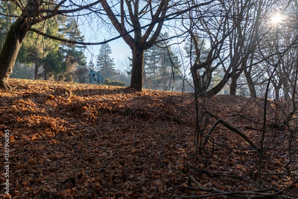 Obraz Serene Forest Morning