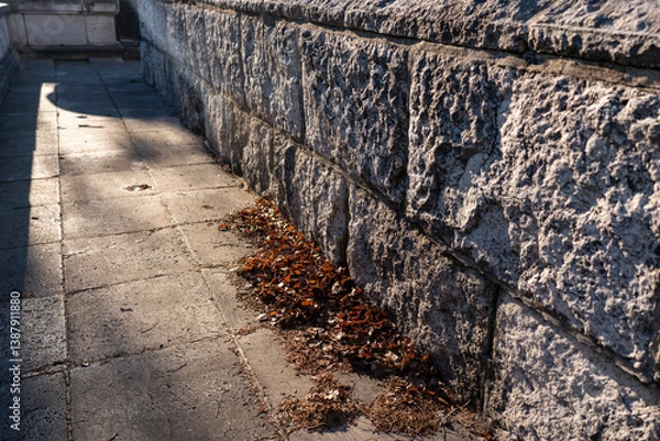 Obraz Volcanic rock wall