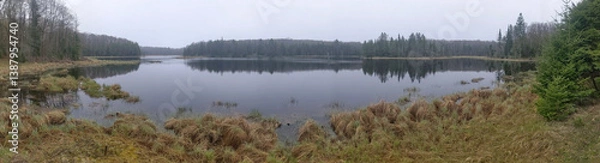 Fototapeta A wide panoramic view of a foggy pond in the wilderness of Ontario, during the spring.