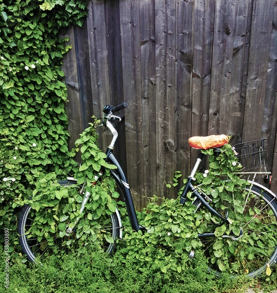 Fototapeta Feeling stuck