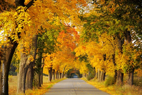 Obraz Jesienna sceneria