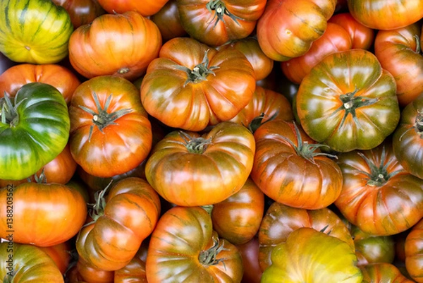 Fototapeta delicious and beautiful background of tomatoes on the market