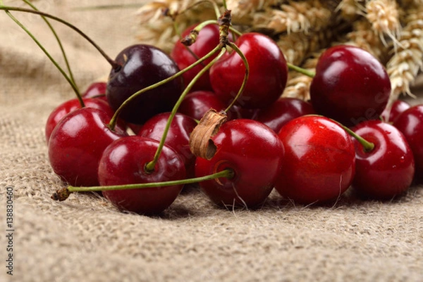 Obraz Fresh red and tasty cherries on jude background, with bunch of wheat behind them. Concept of healthy food, bio from countryside