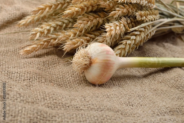 Obraz Green garlic with cloves on jute background, with bunch of wheat behind them. Concept of healthy food, bio from countryside. Rustic image. Copy space