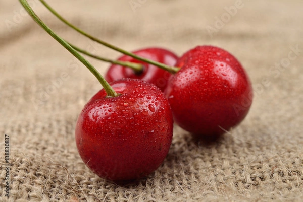 Obraz Macro photo of tree red cherries with water drops which are together on one green branch on jute background. Selective focus. Lights and shadows
