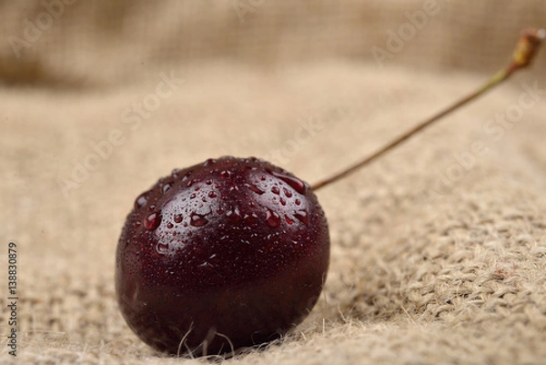 Obraz Macro photo of red cherry with water drops on jute background. Selective focus. Lights and shadows