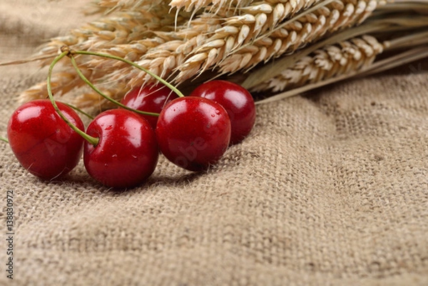 Obraz Fresh red and tasty cherries on jude background, with bunch of wheat behind them. Concept of healthy food, bio from countryside