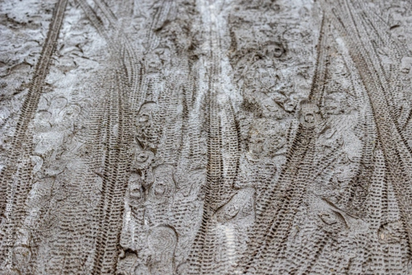 Fototapeta Muddy trail, full of bicycle tracks