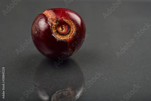 Obraz Close up of image of rotten red cherry fruit on reflective black background. Selective focus.
