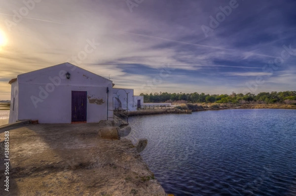 Obraz Floripes Tidemill  