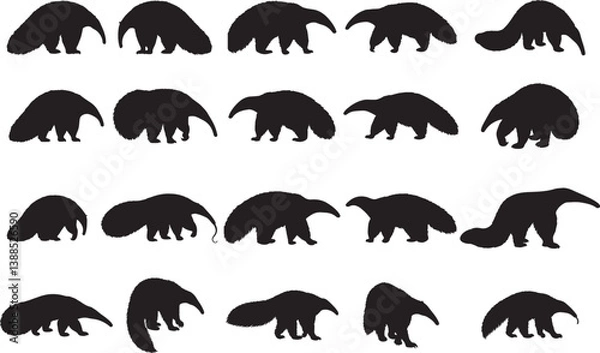 Obraz Anteater Silhouettes