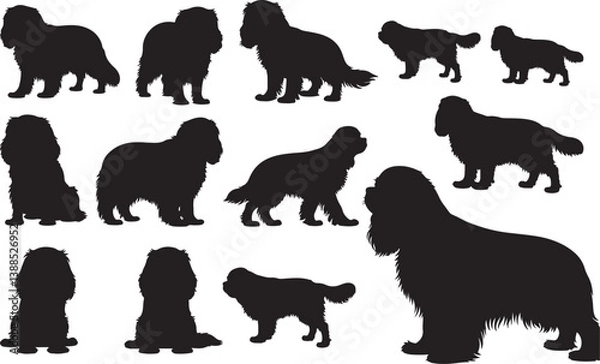 Obraz Cavalier King Charles Spaniel Silhouettes