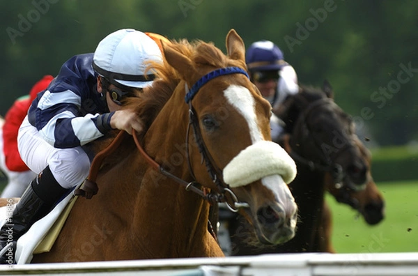 Obraz galop150502005