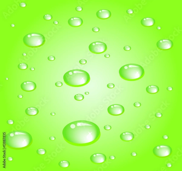 Fototapeta green drops. vector illustration.