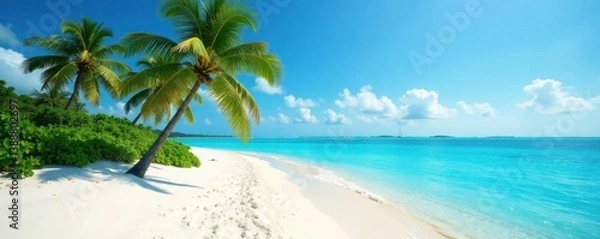Fototapeta Fine white sand, palm trees hinted on island, azure sea, scenic, sea