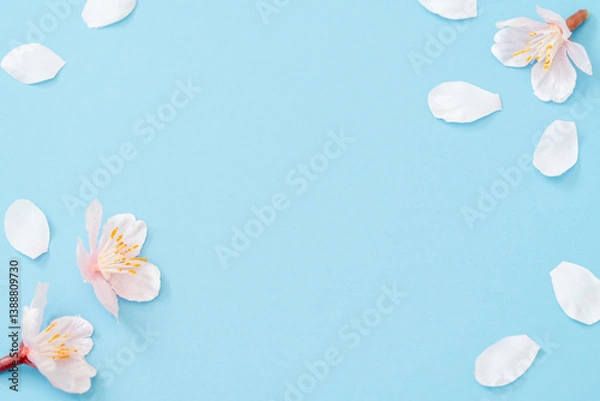 Obraz ブルー背景に桜のフレーム