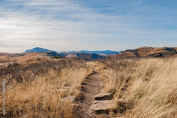 Obraz Into the Breach