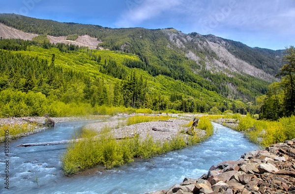 Fototapeta Whiter river landscape near Mount Rainier in Washington