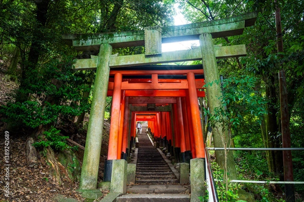 Fototapeta Red thousand of traditional gates or torii in Fushimi Inari Taisha with  Fushimi Ward, Kyoto, Japan