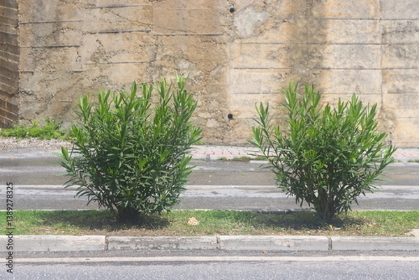 Obraz A section of an asphalt road with a curb stone and a lawn, minimalism, urbanism, 26