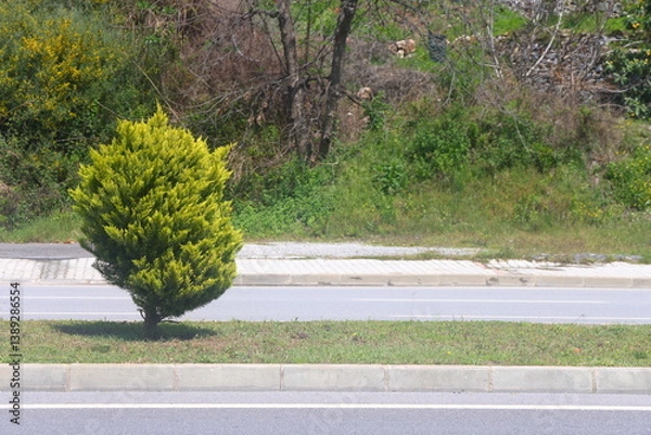 Obraz A section of an asphalt road with a curb stone and a lawn, minimalism, urbanism, 26