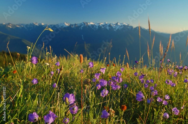 Fototapeta mountain landscape